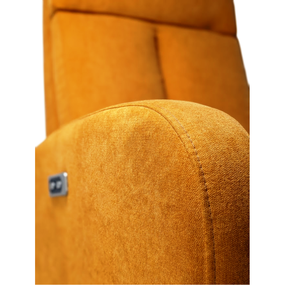 Cadeirão Luísa Relax elevatório dois motores e Bateria